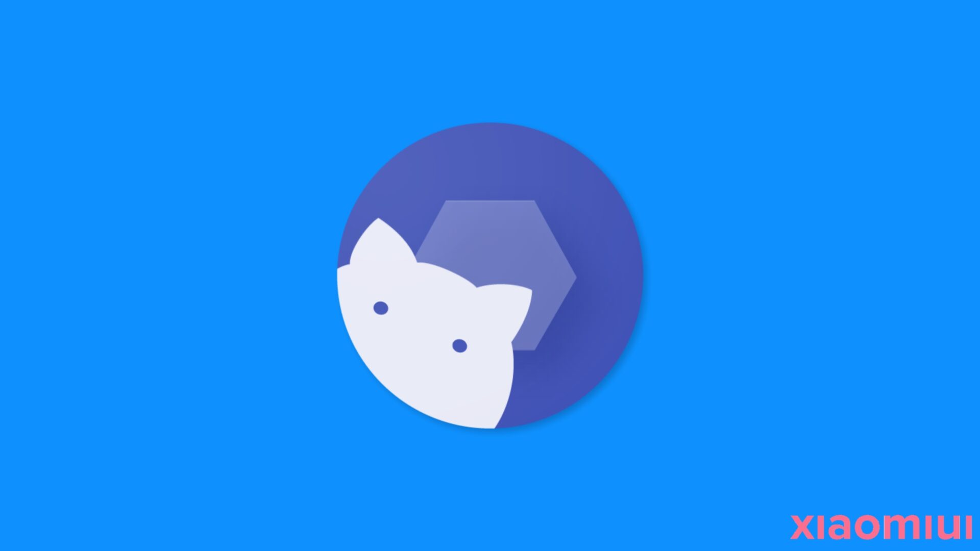 How to start Shizuku both rooted and non-rooted ways