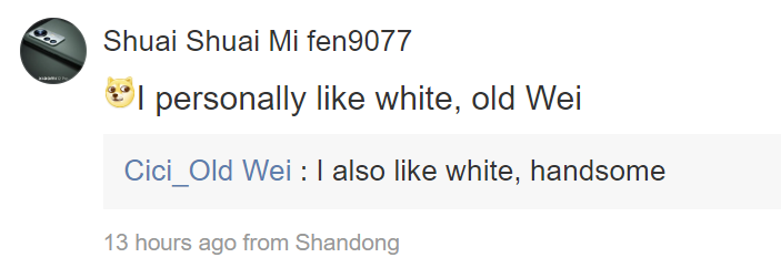 White Xiaomi 13